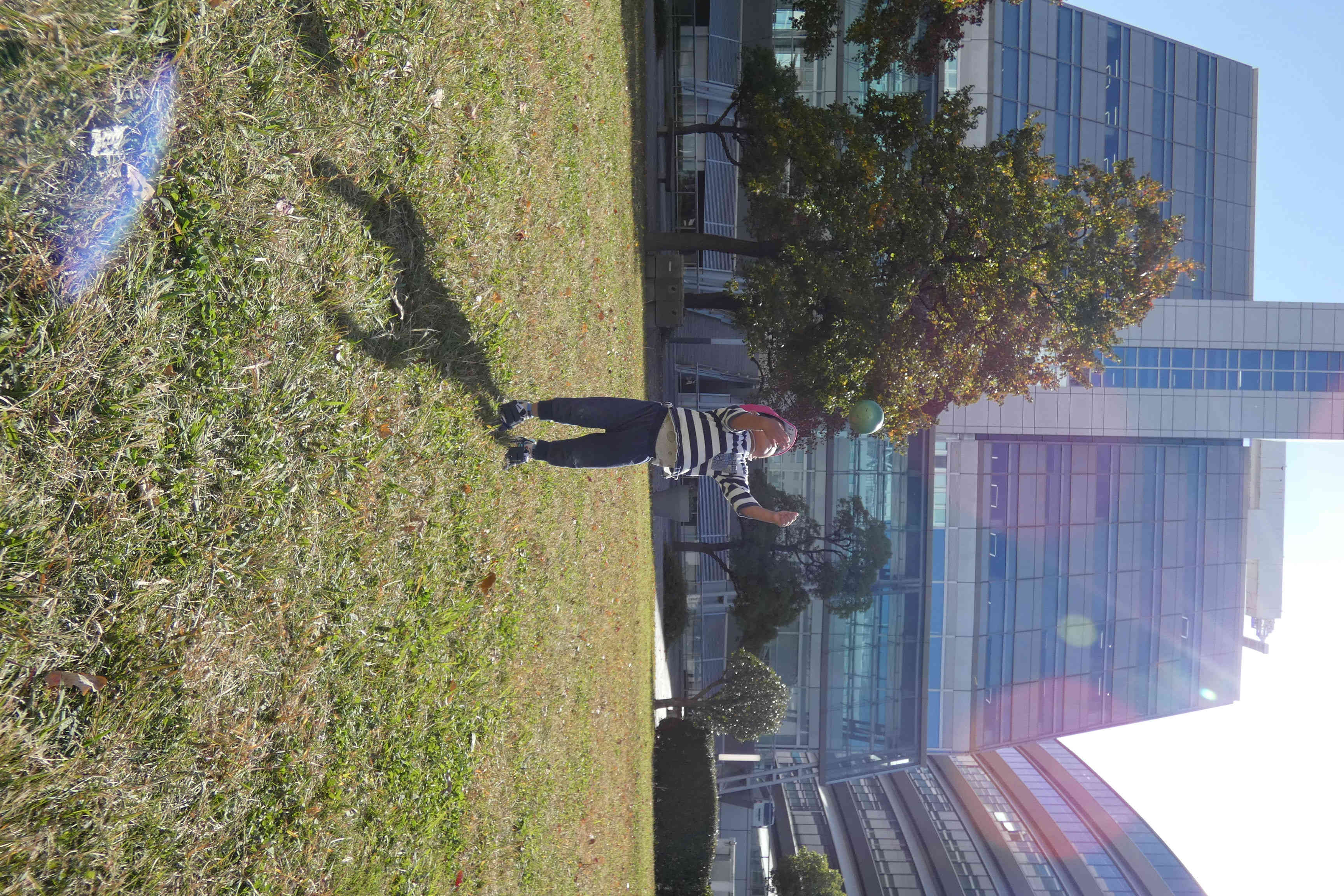 ボールえい！！