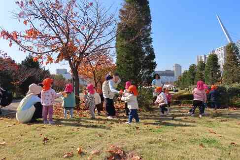 秋の戸外活動の様子（ひよこ・あひる・りす組　0・1・2歳児）