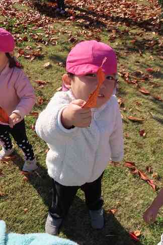 秋の遊びを楽しもう！