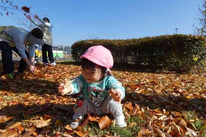 落ち葉遊び楽しいな♪