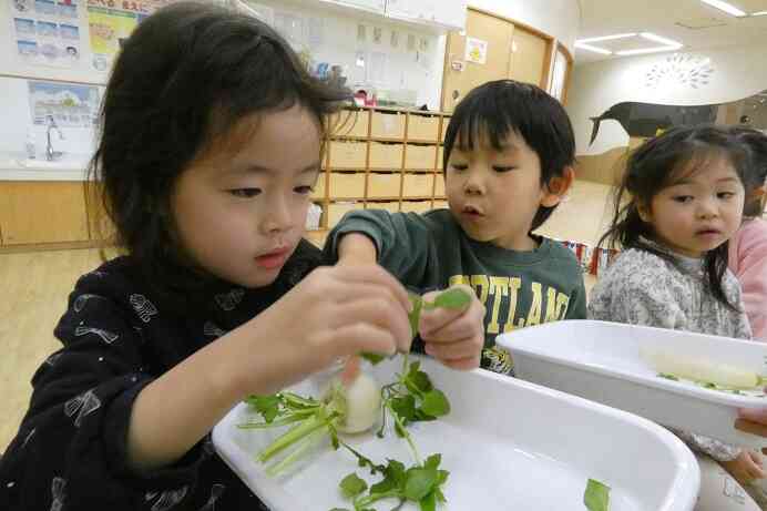 実際に手に取ってみると…