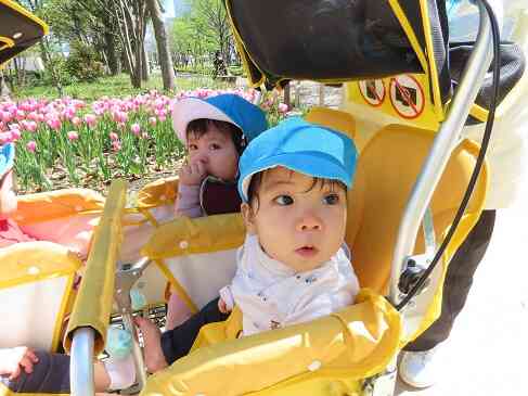初めてのお散歩（ひよこ組　0歳児）