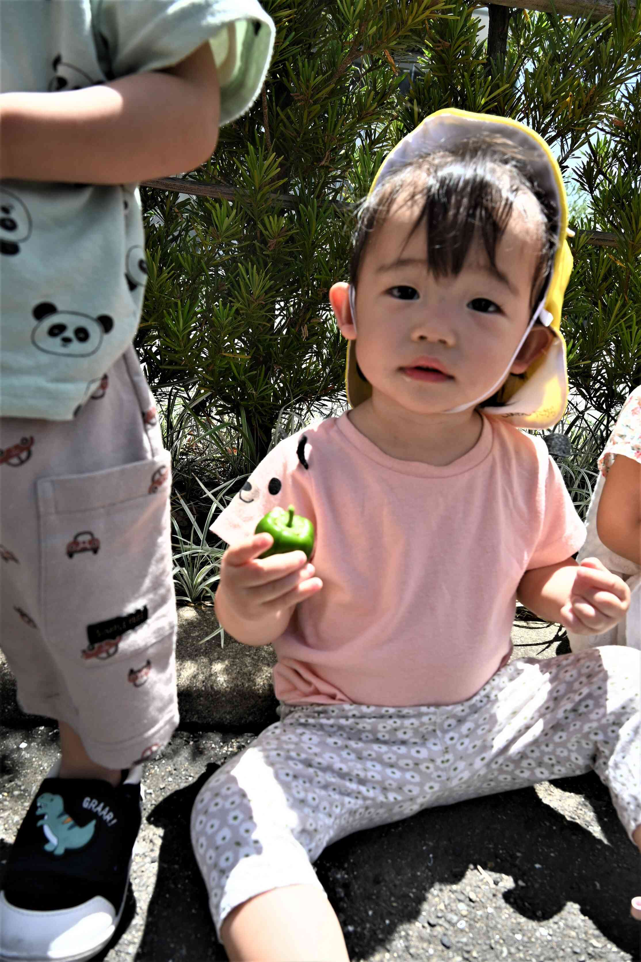 ピーマン☆表面がつるつるしているね～