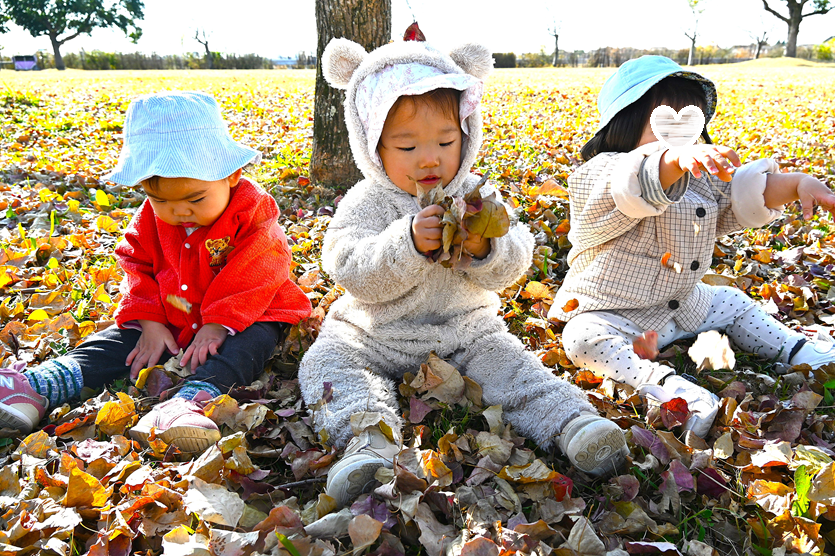 落ち葉のじゅうたん☆