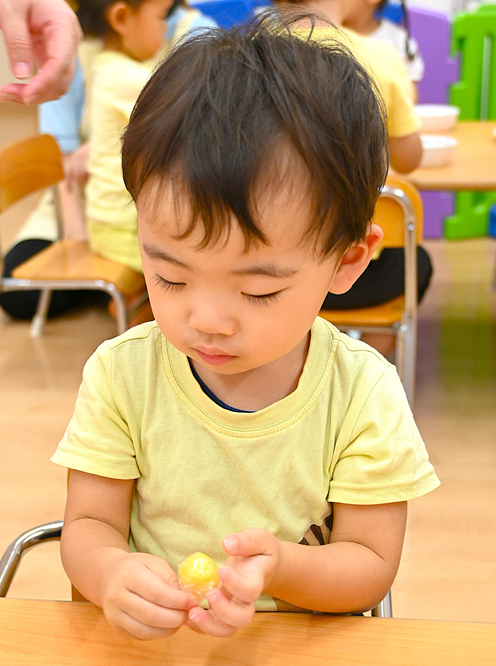 コロコロ…