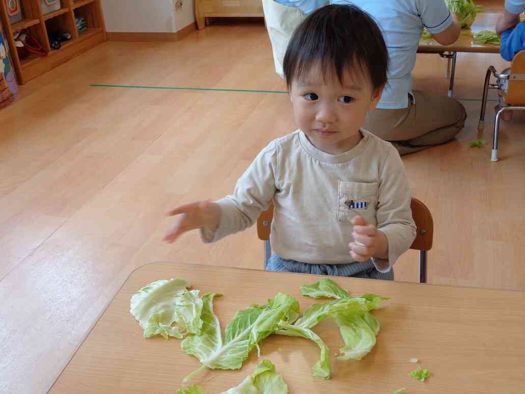 小さくちぎったよ!
