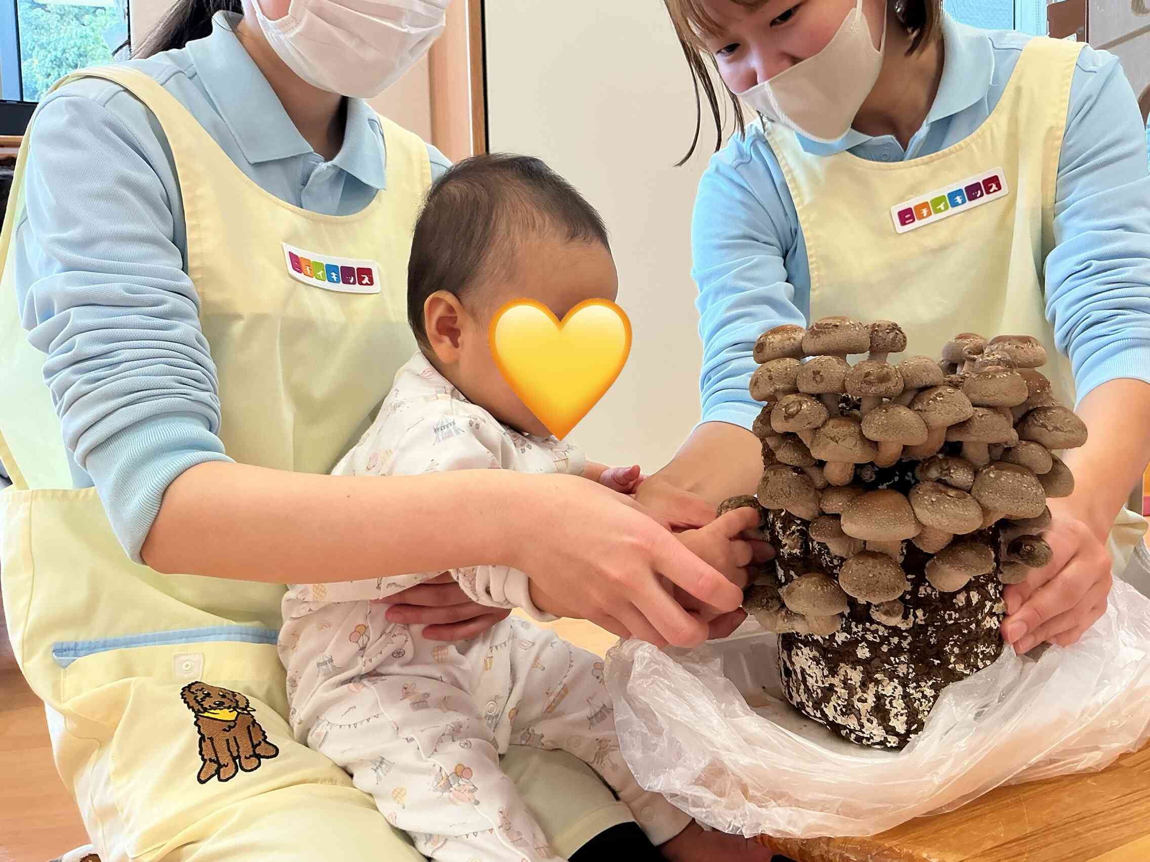 (食育）和食の日！！