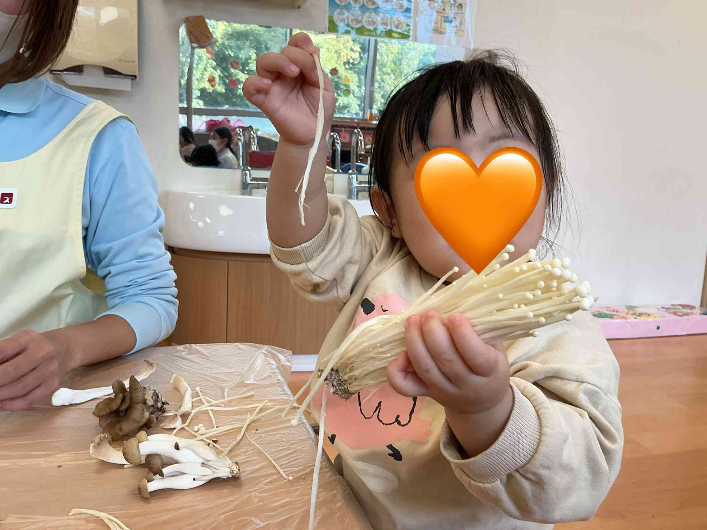 色んなキノコを触ってみたよ！！