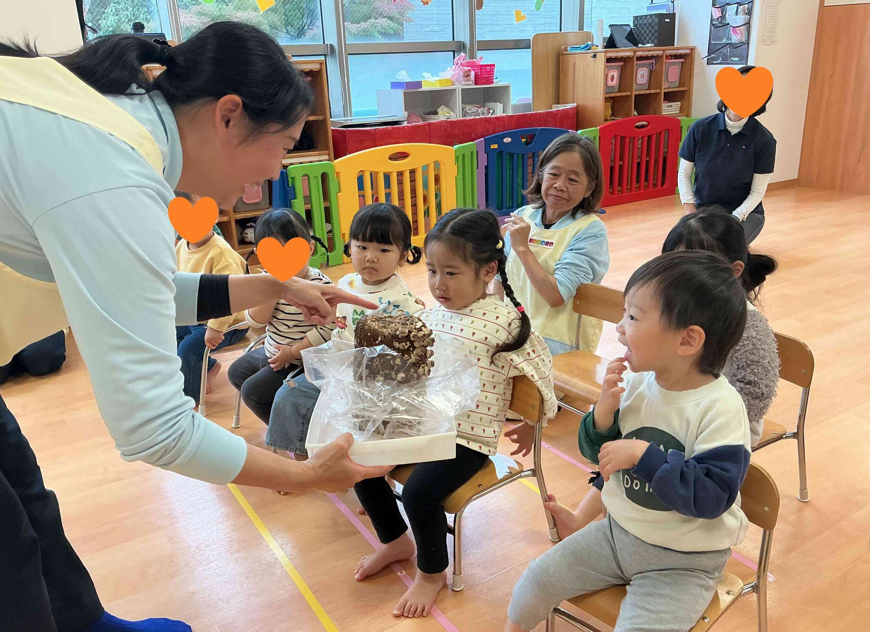 きのこ栽培中！