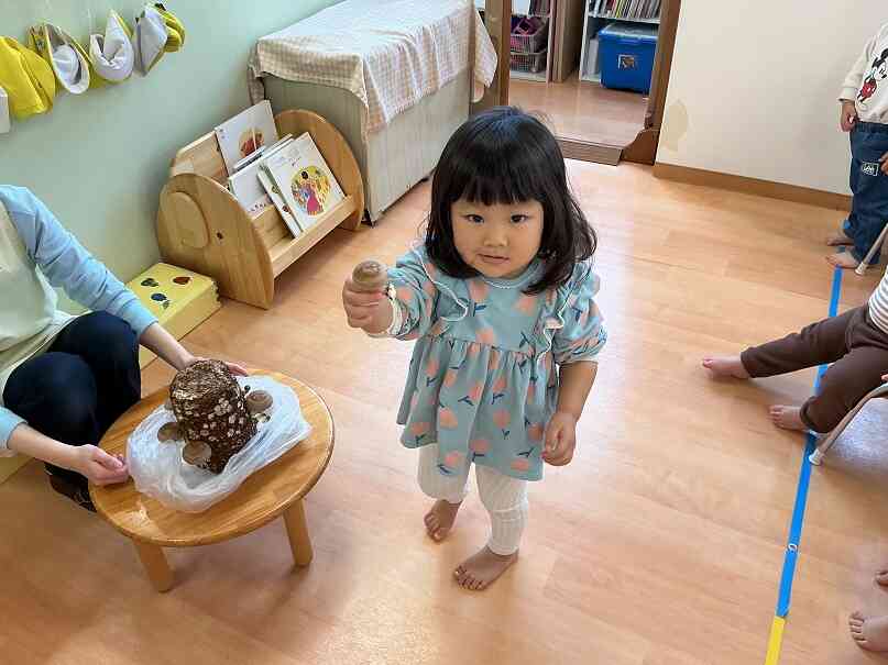 収穫したきのこと