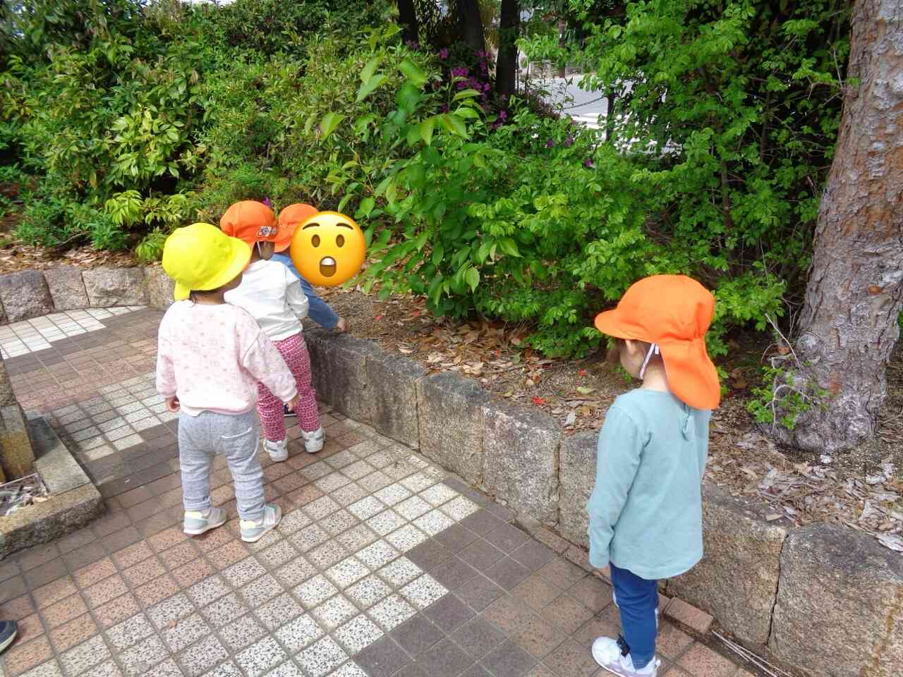 みんなでじっくり観察、、、！