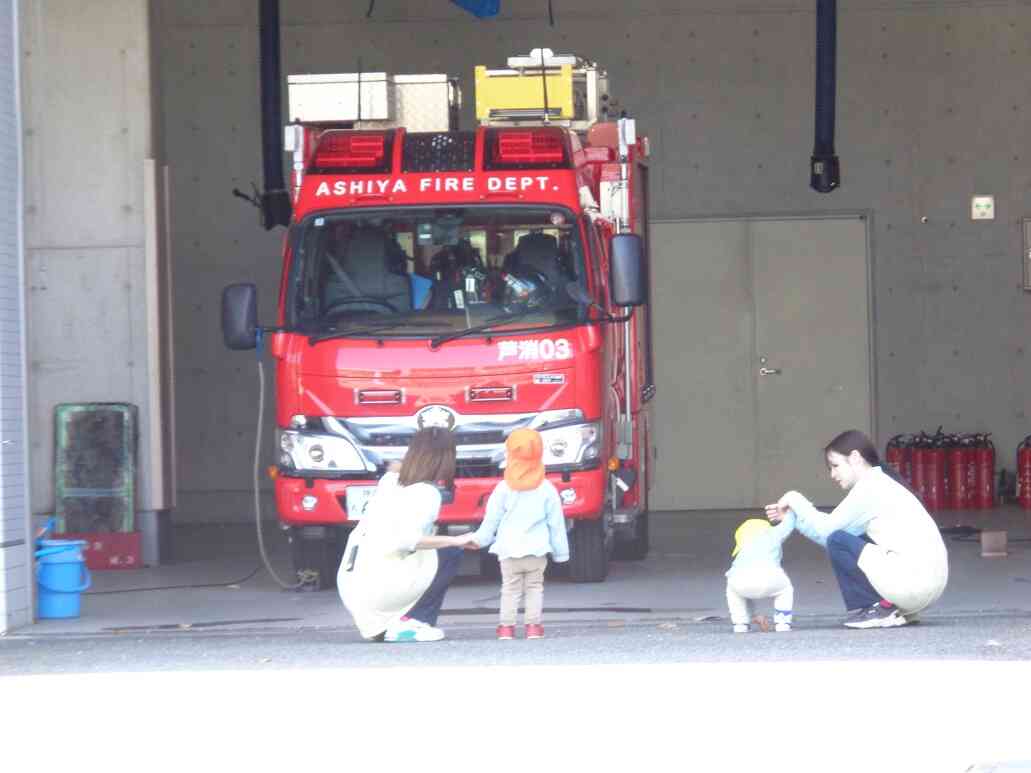 近くで見てみる？