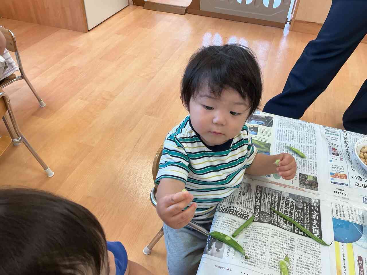 これは何豆？?