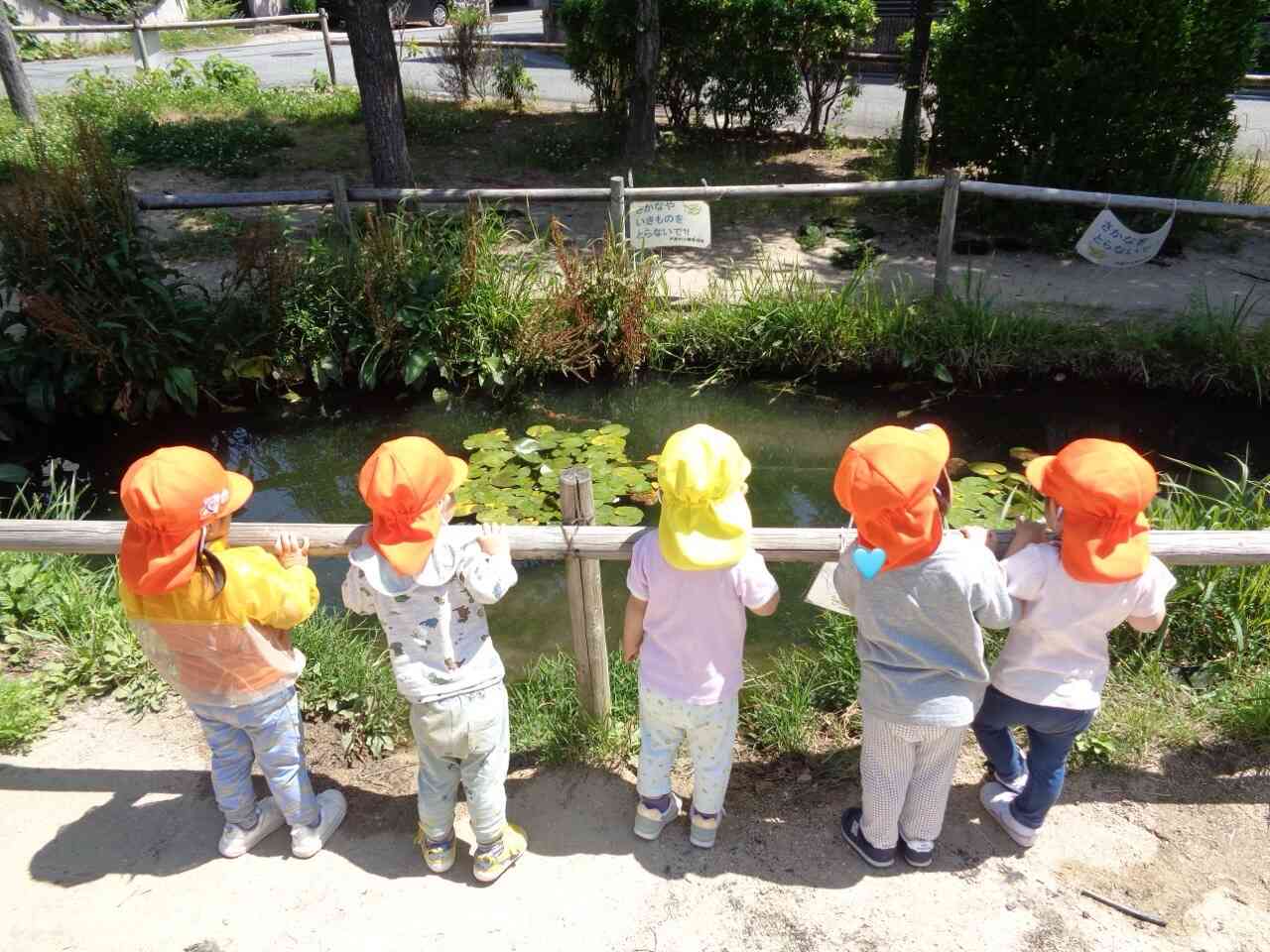 何かいるかな？？