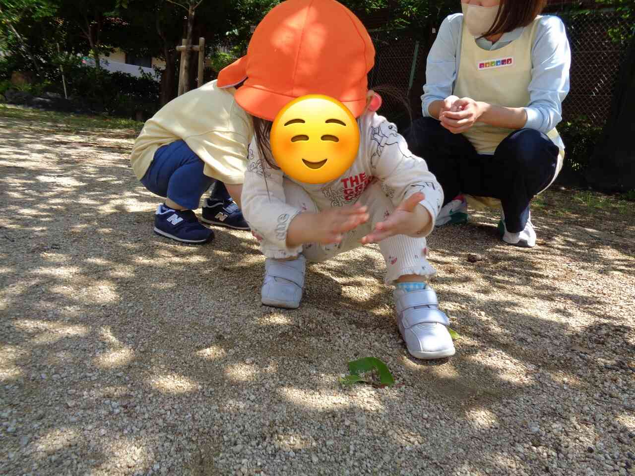葉っぱ発見！！！！