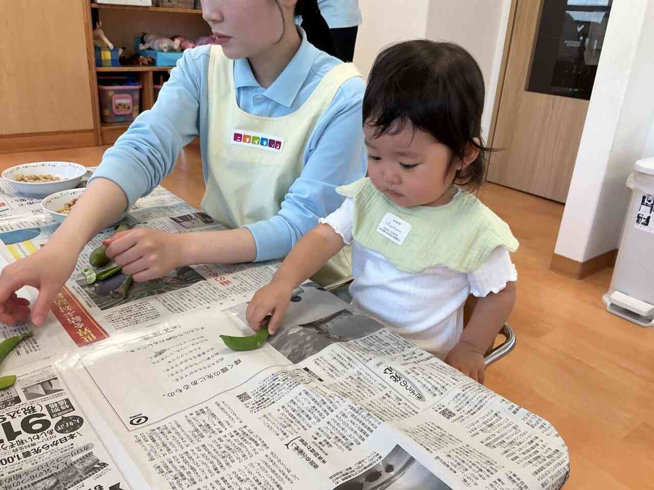 お豆ってどんなの？？