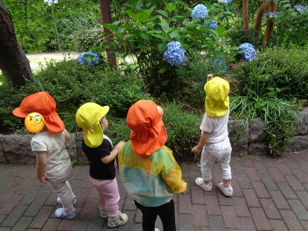 季節ですね♪