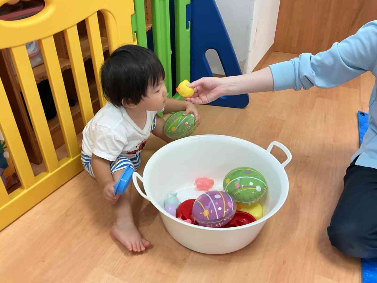 今日はね、、、♪