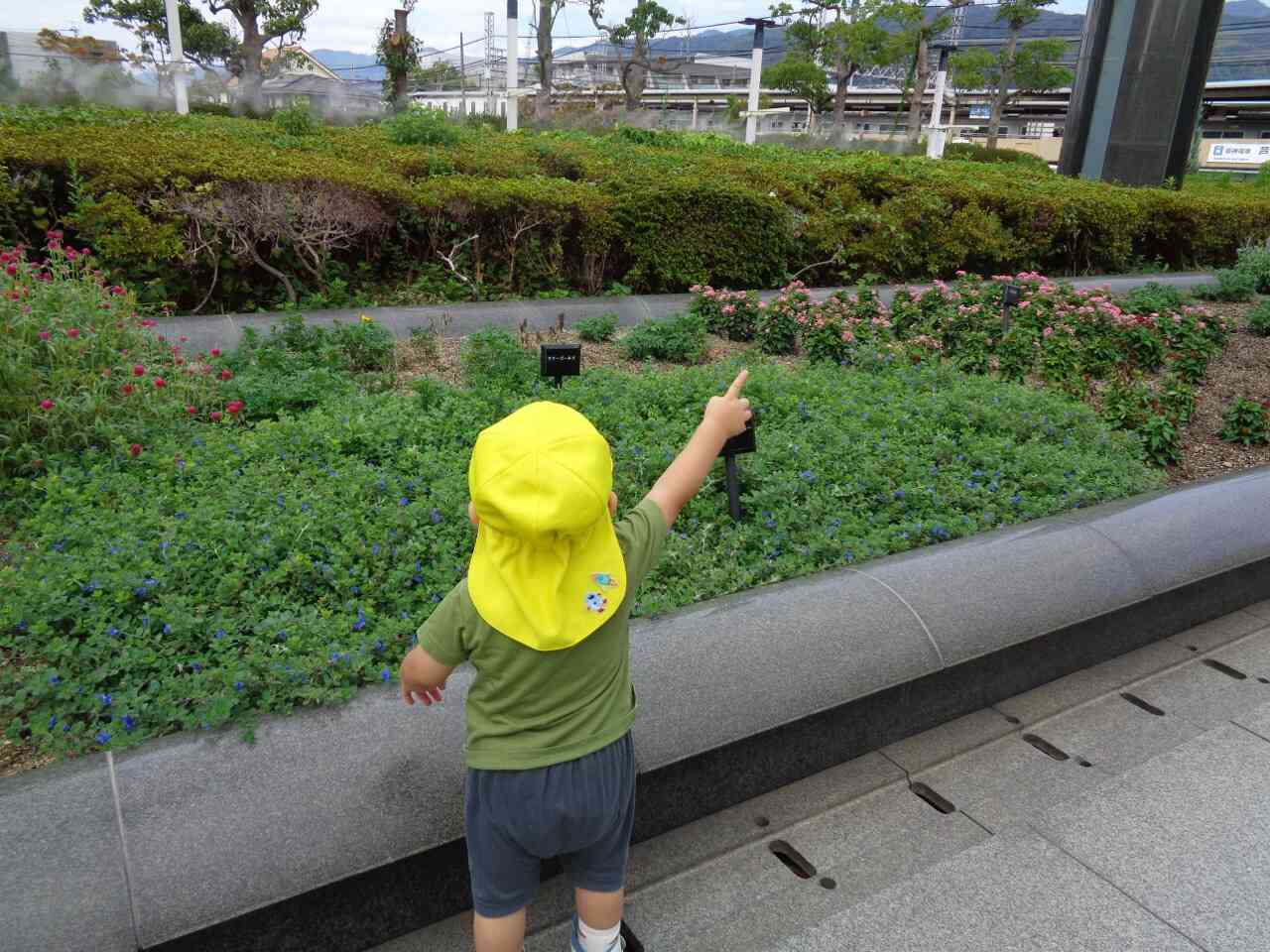 次は、、、。