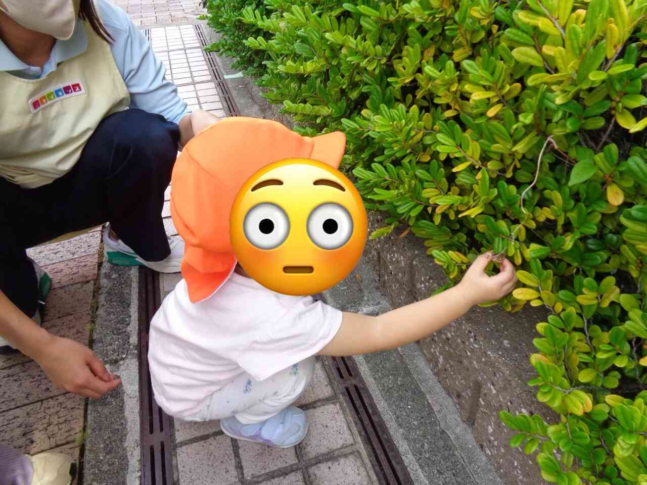 あ！！これもしかして！！