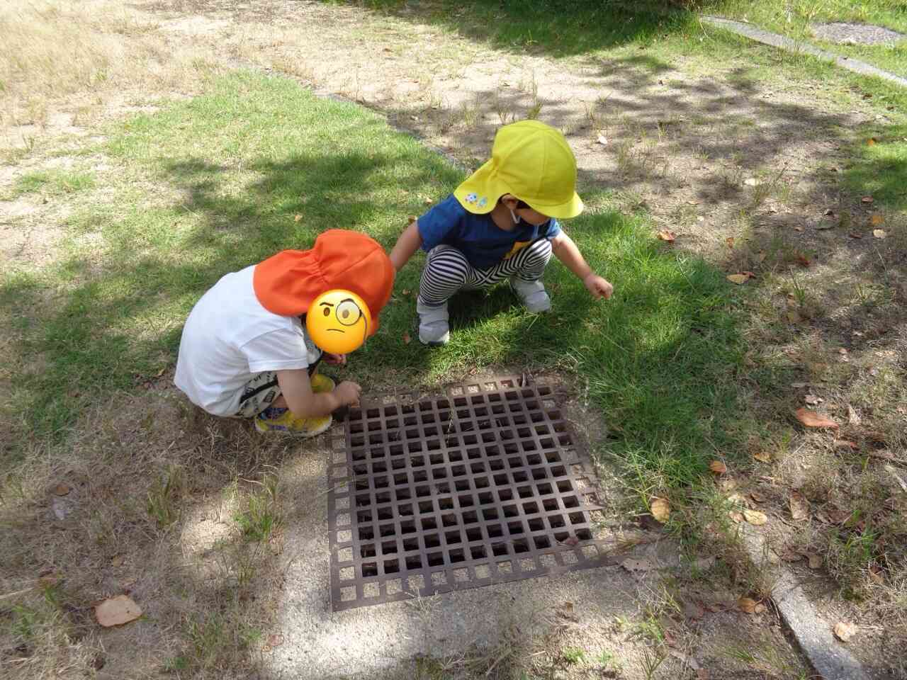 何が見えるかな？