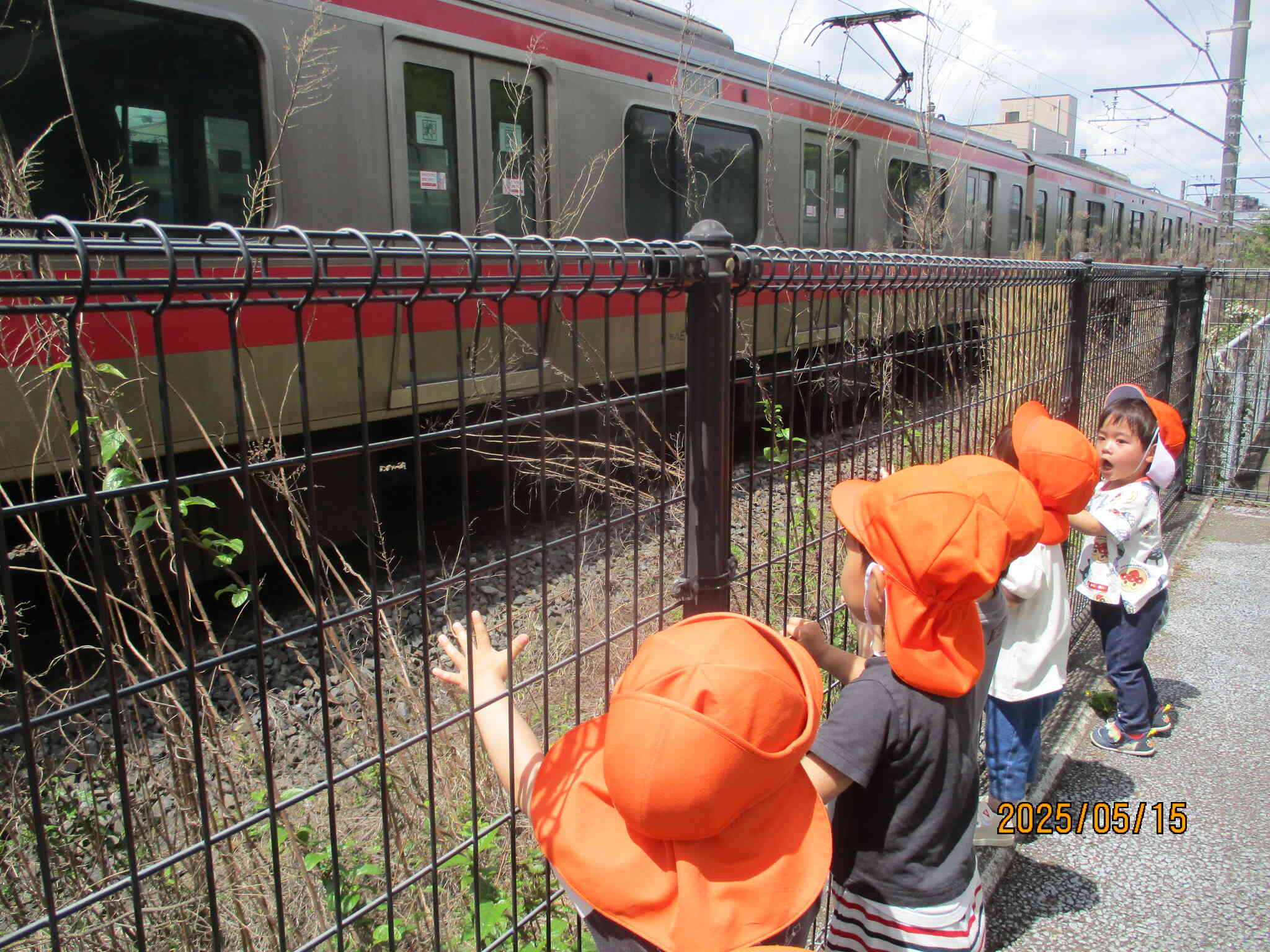 電車を見に出かけました！【2歳児クラス：うさぎ組】