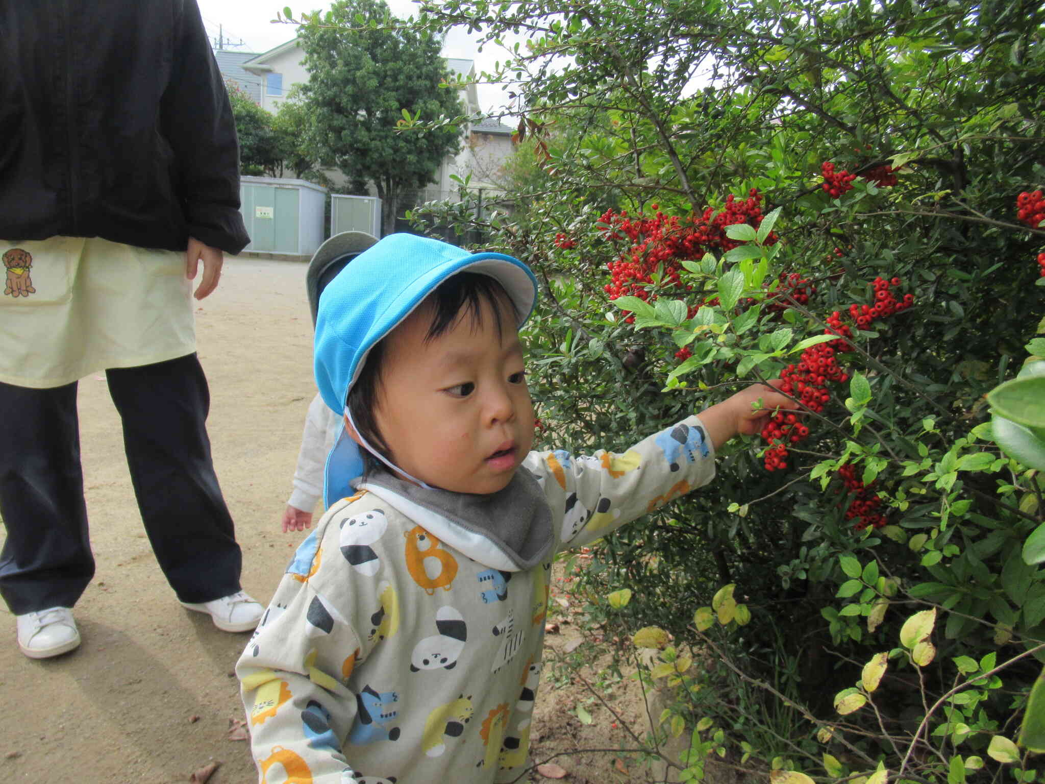 季節を感じながら探索あそび！