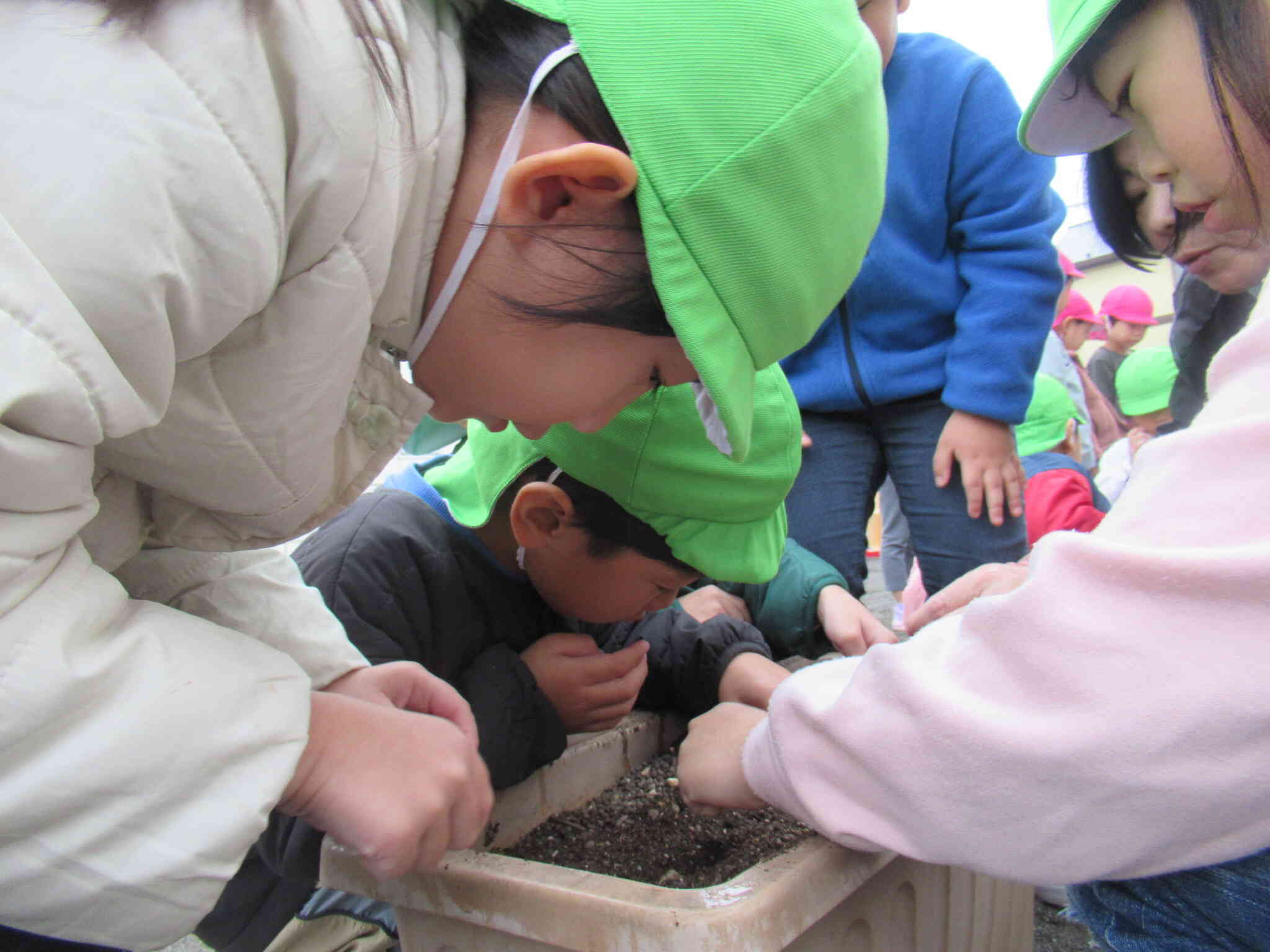 土に穴をあけ、その中に小さな種を入れていきます。