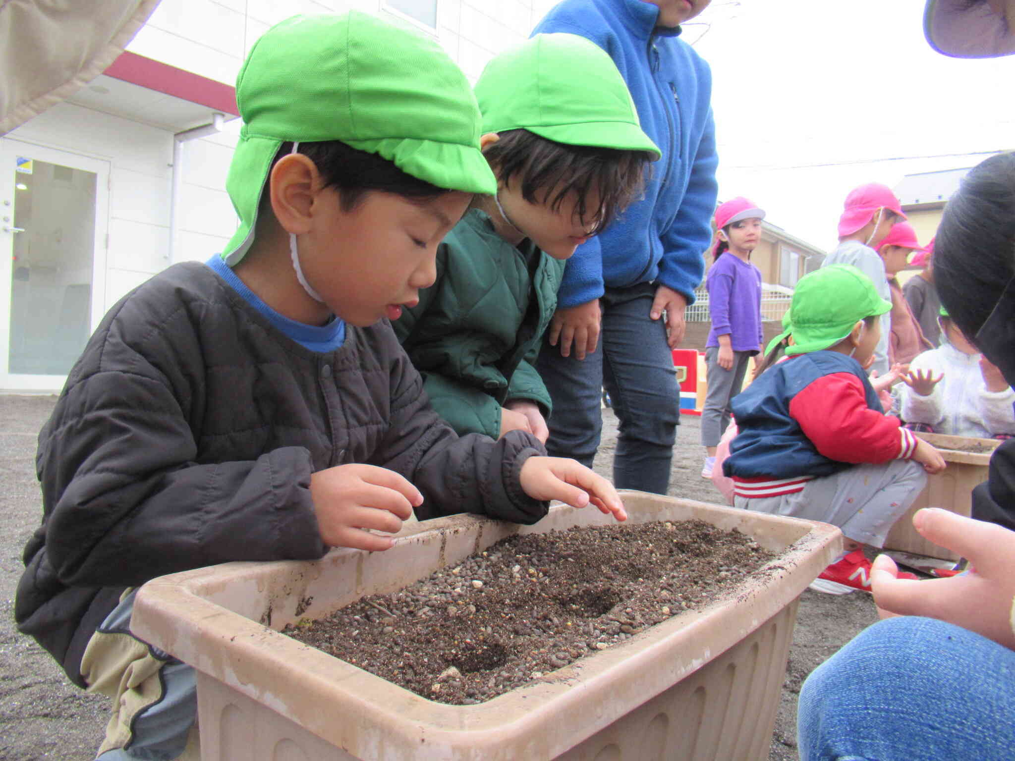 種を入れ、土を丁寧にかぶしていきます。