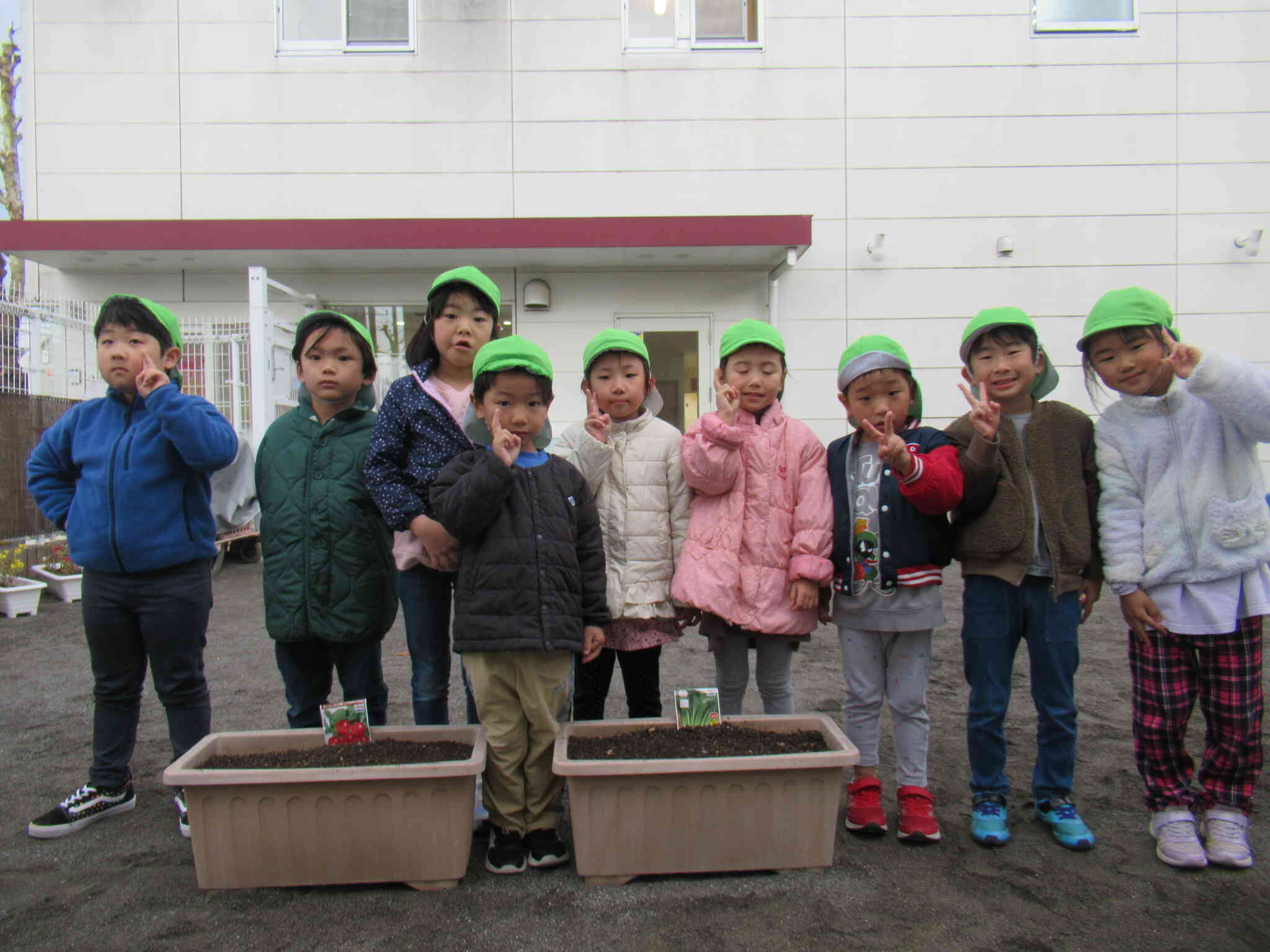 食育：野菜の種まき【4.5歳児クラス】