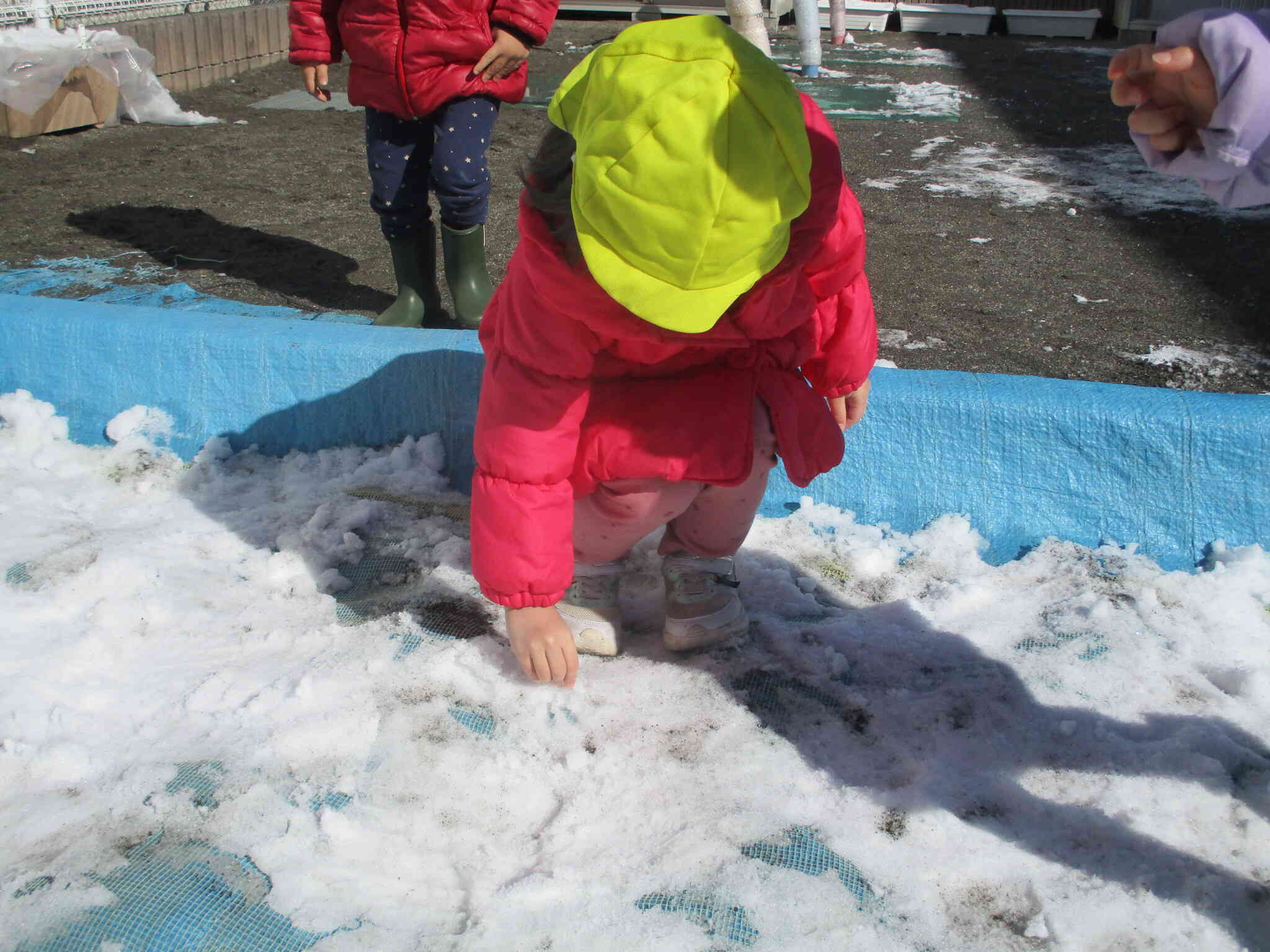 シートの上にある雪に触って遊びます！