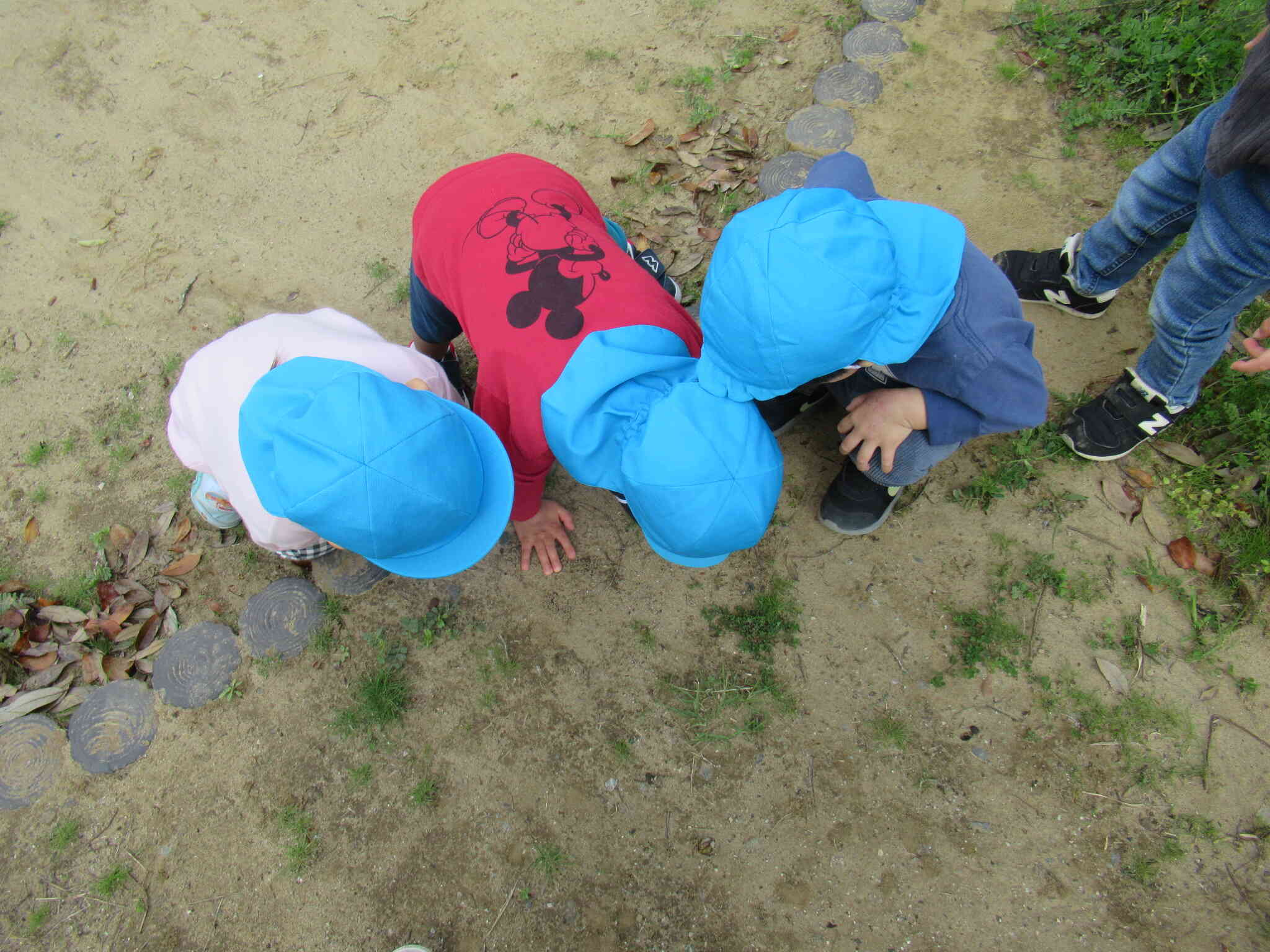 おもいっきり公園であそぼう！【２歳児クラス：うさぎ組】