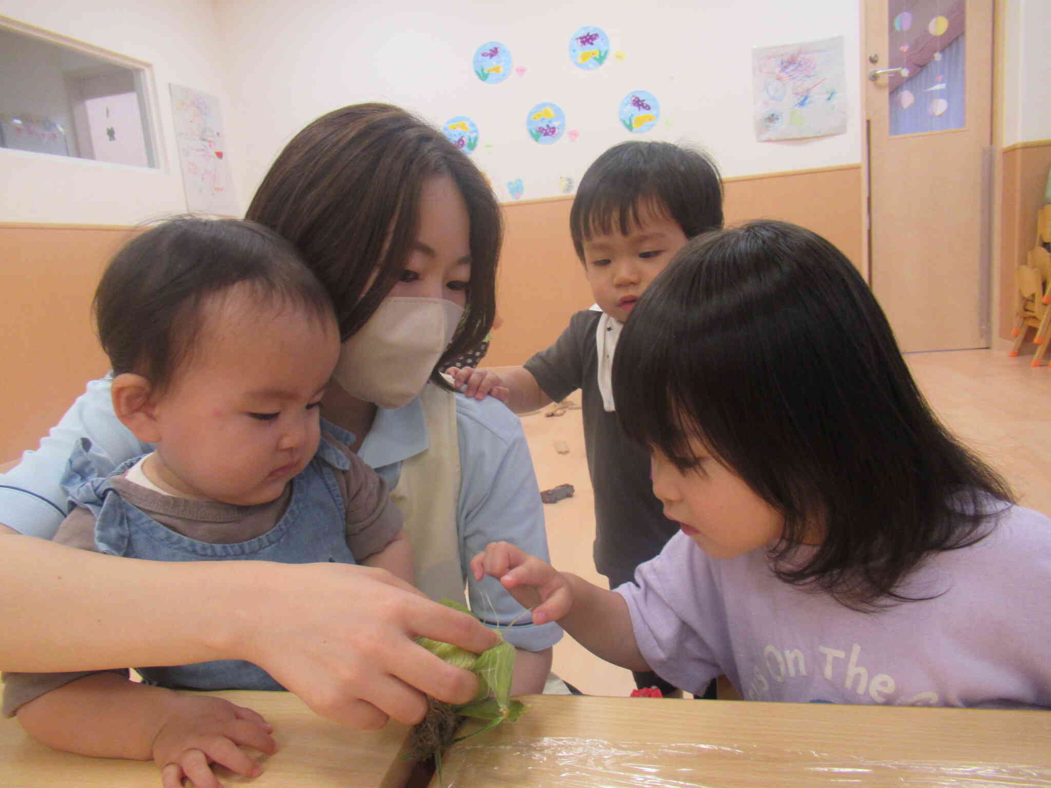 そっと、指でとうもろこしのひげに触ってみます！