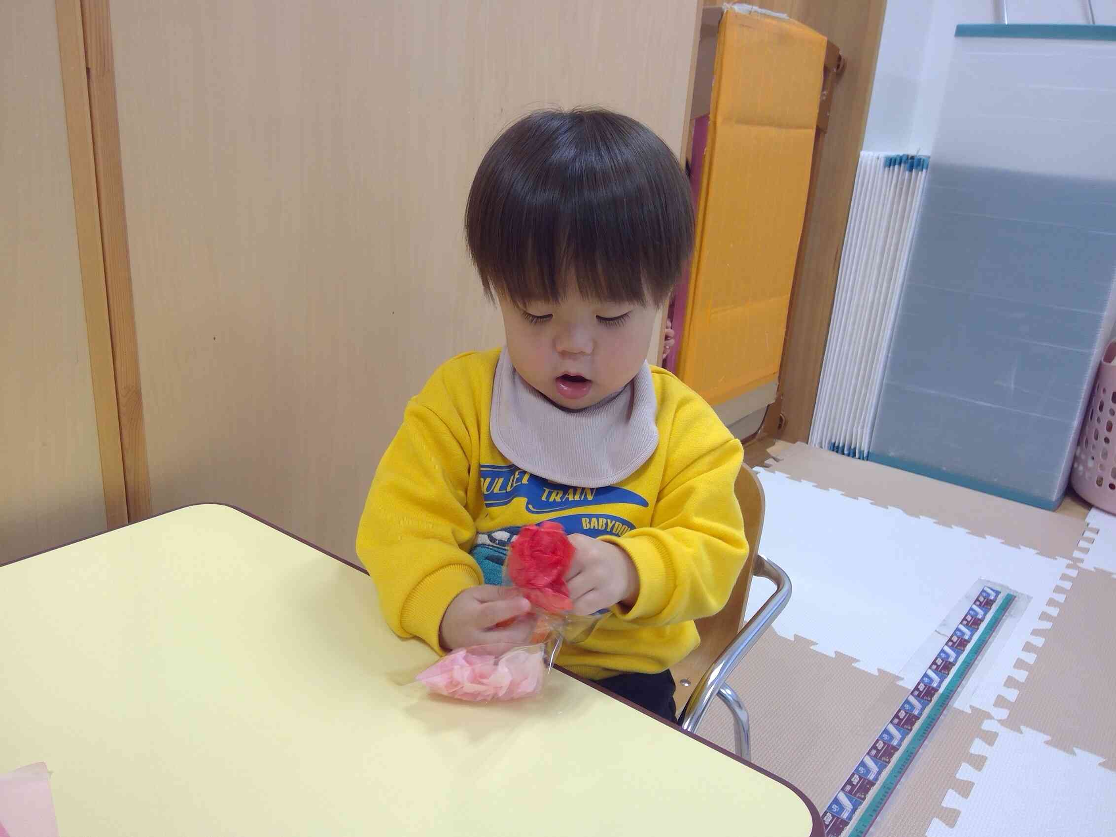 袋に入るかな？