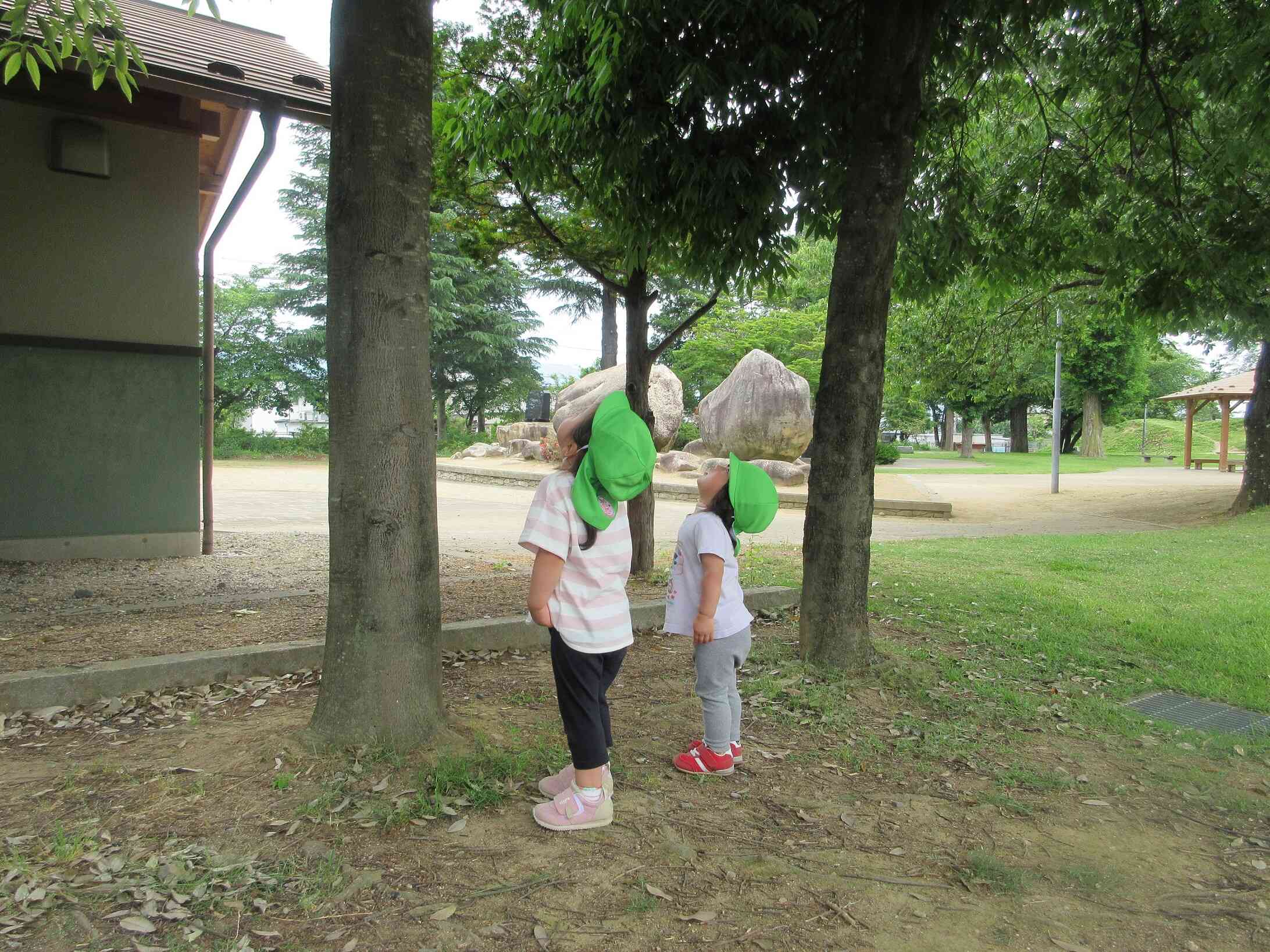 何見てるのかな？