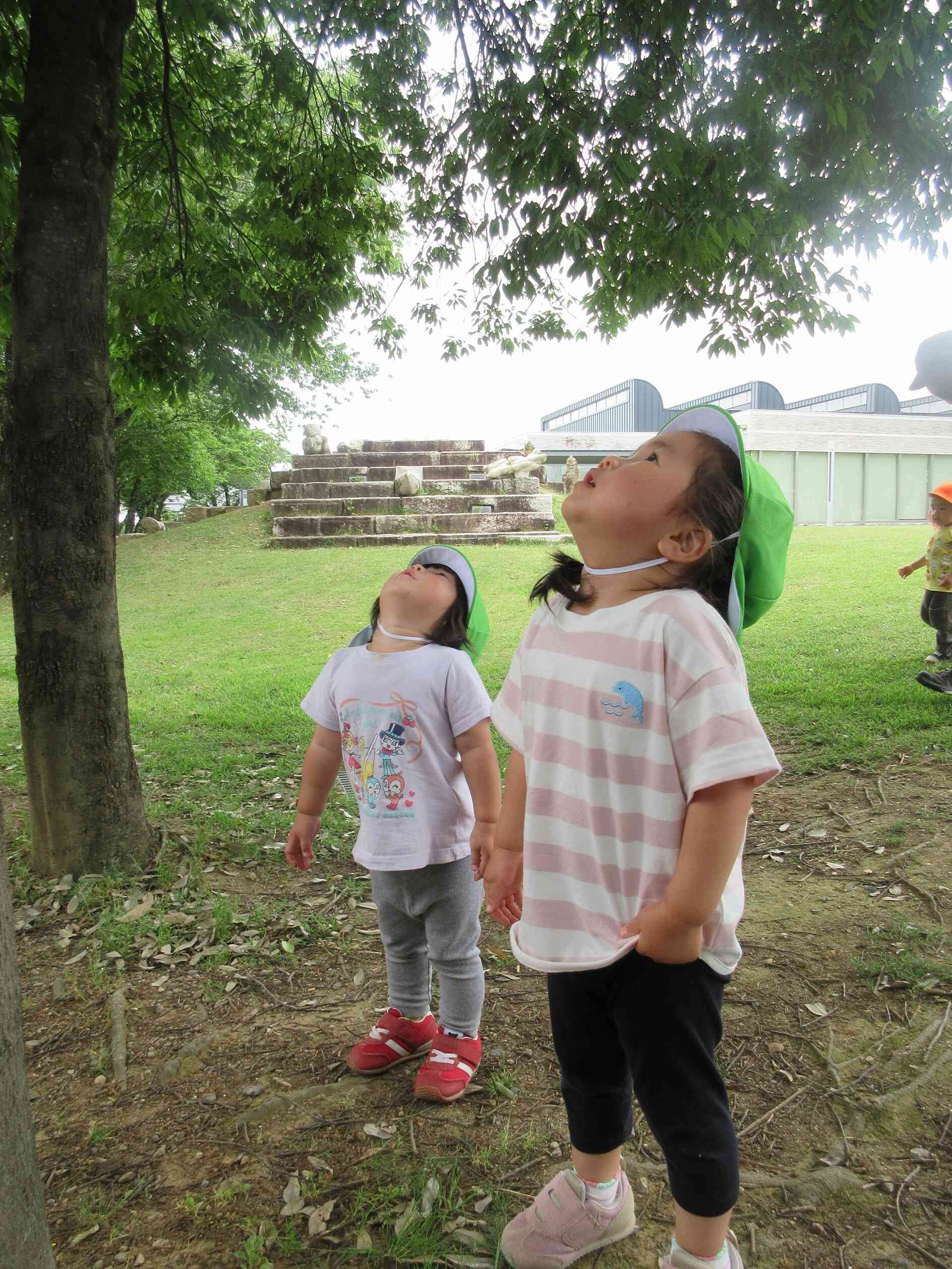 どんどんのぼっていくね~