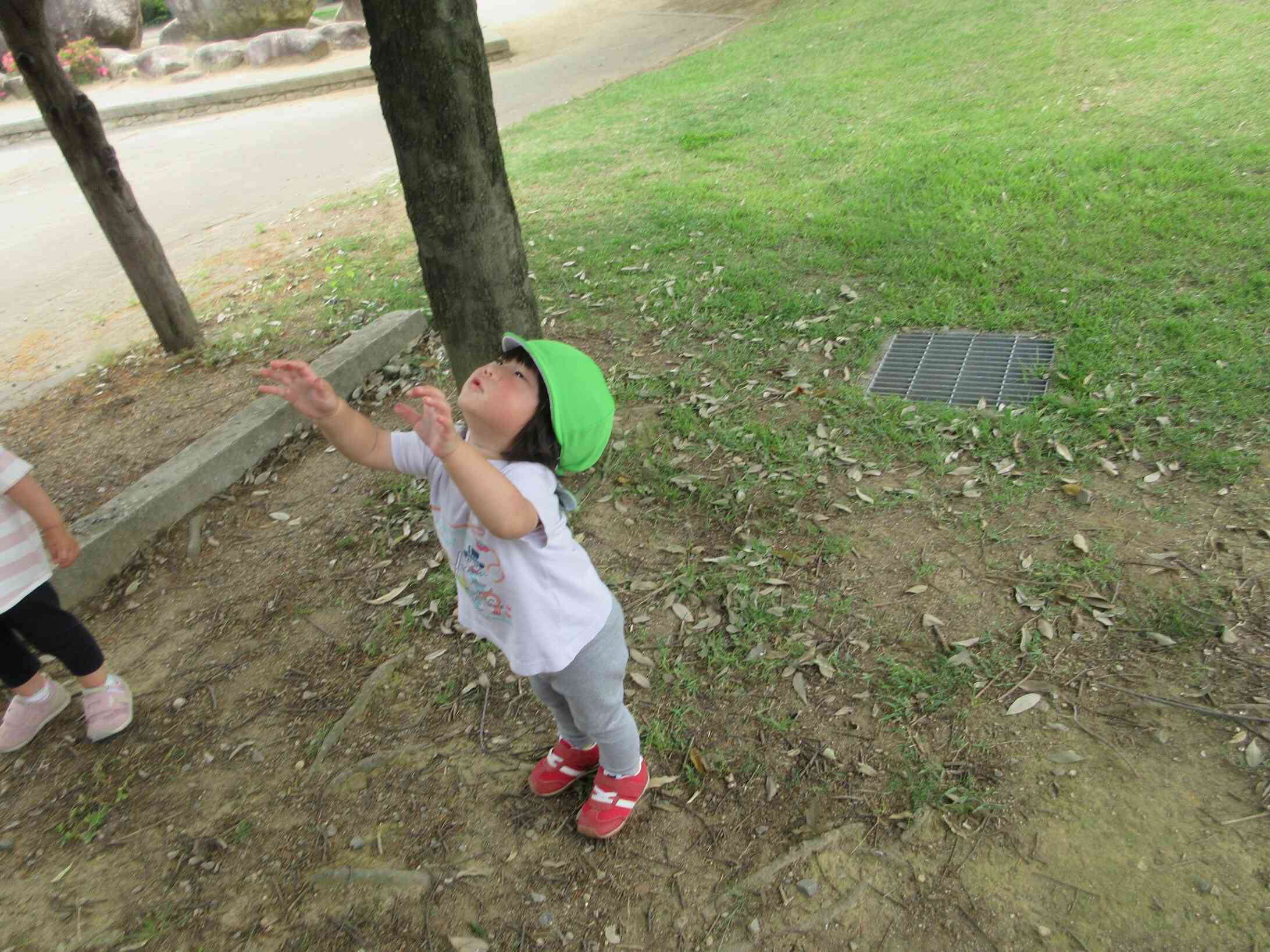 おいしょ、おいしょ