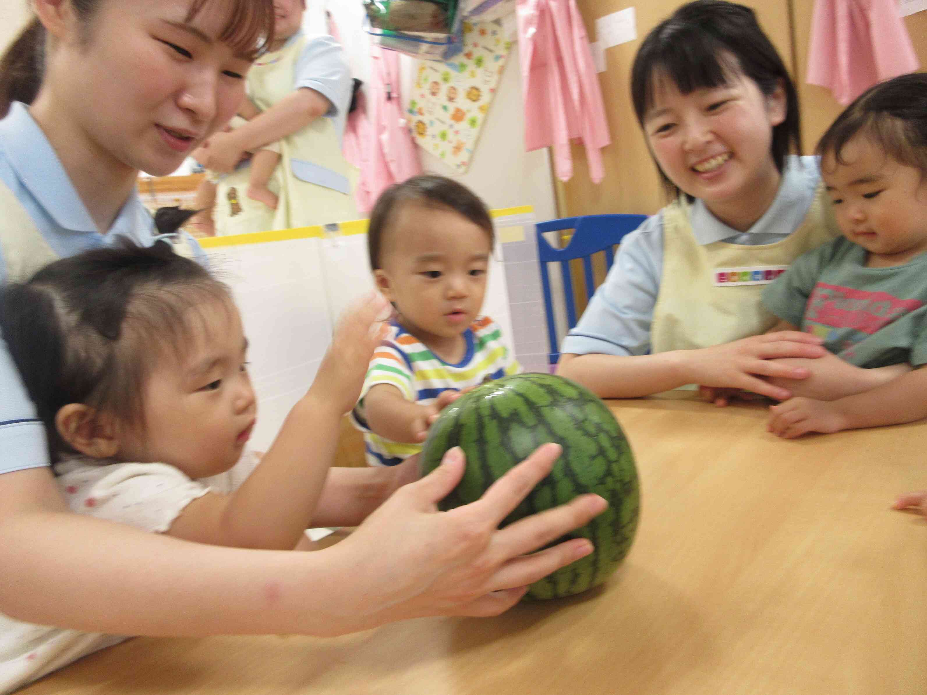 触ってみよう（1歳児あひる組）