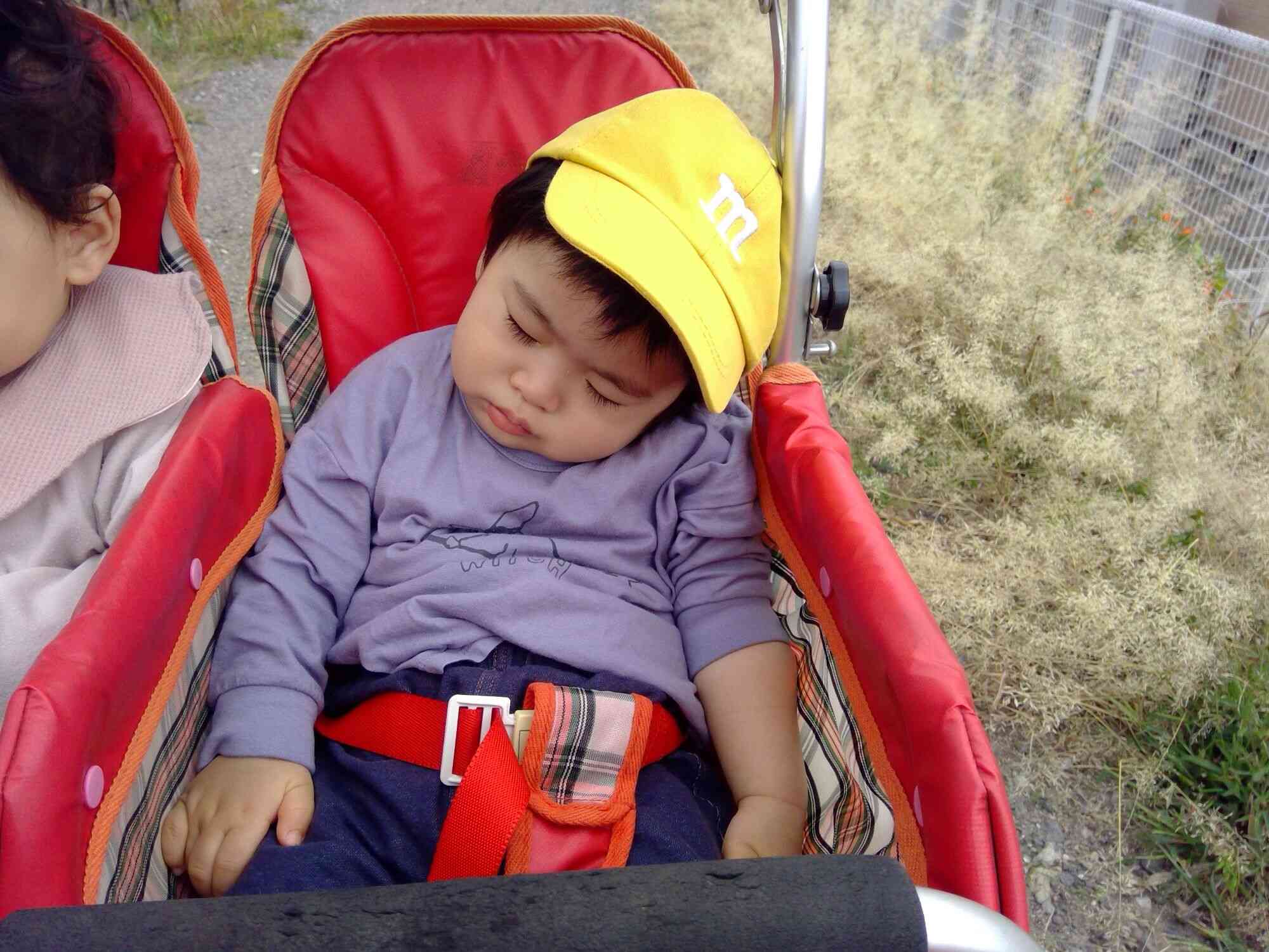 「むにゃむにゃ・・・」～夢の中～