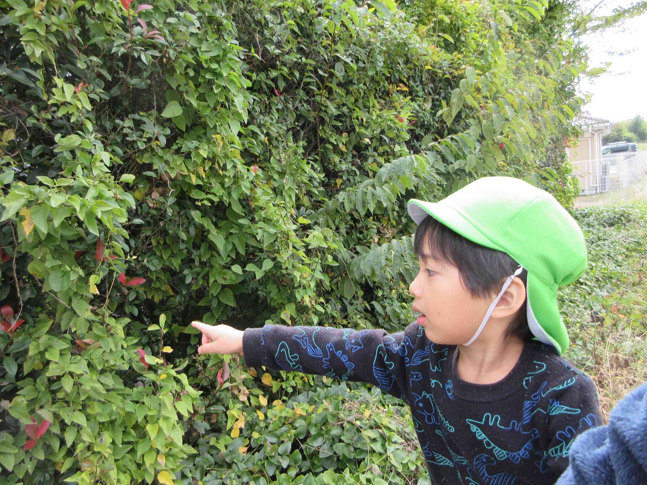 ゆったりのびのび土曜保育