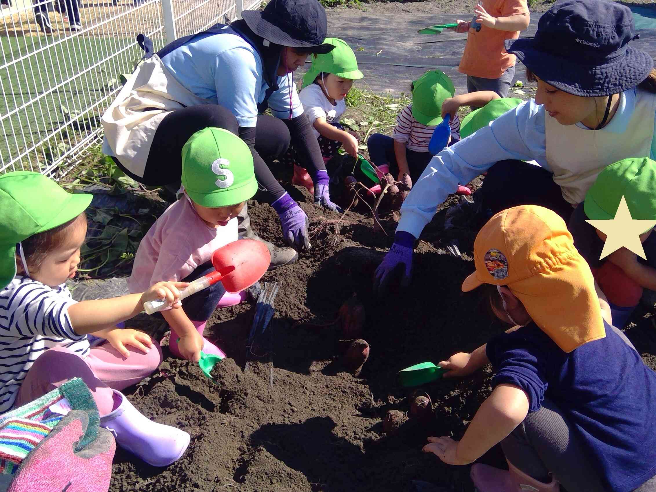 掘って掘って～引っ張る！