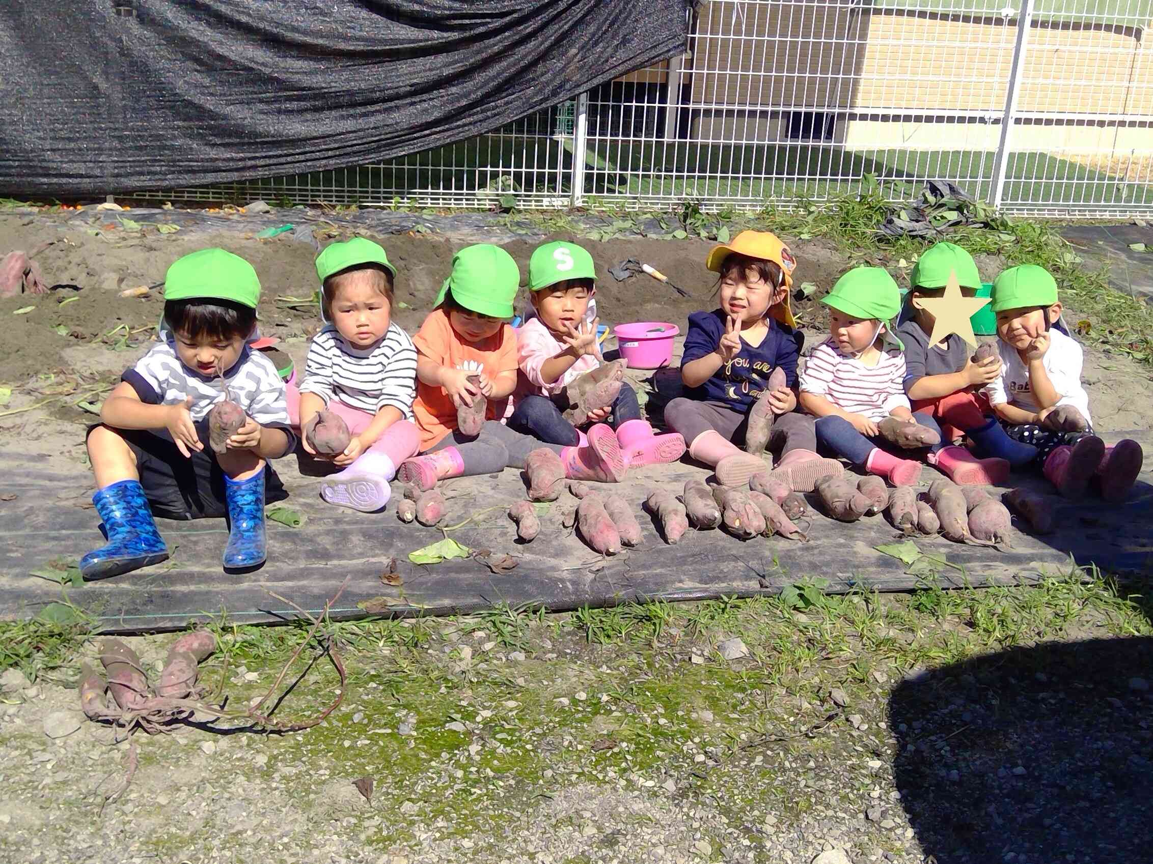 たくさん収穫できました