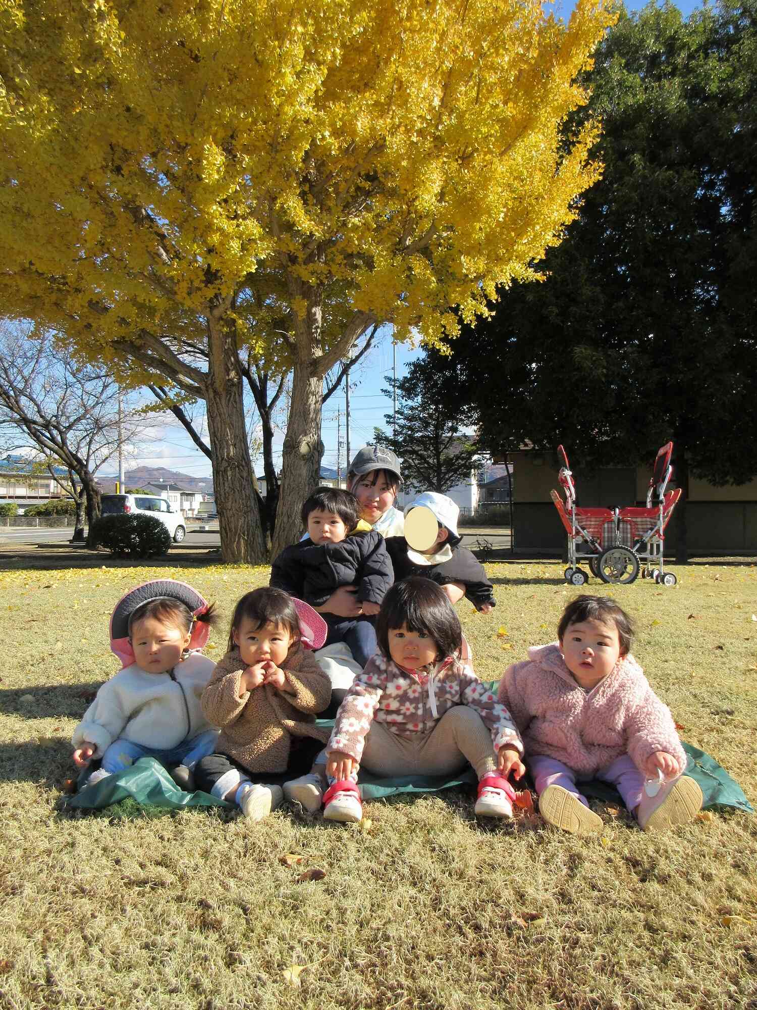 黄色いじゅうたん