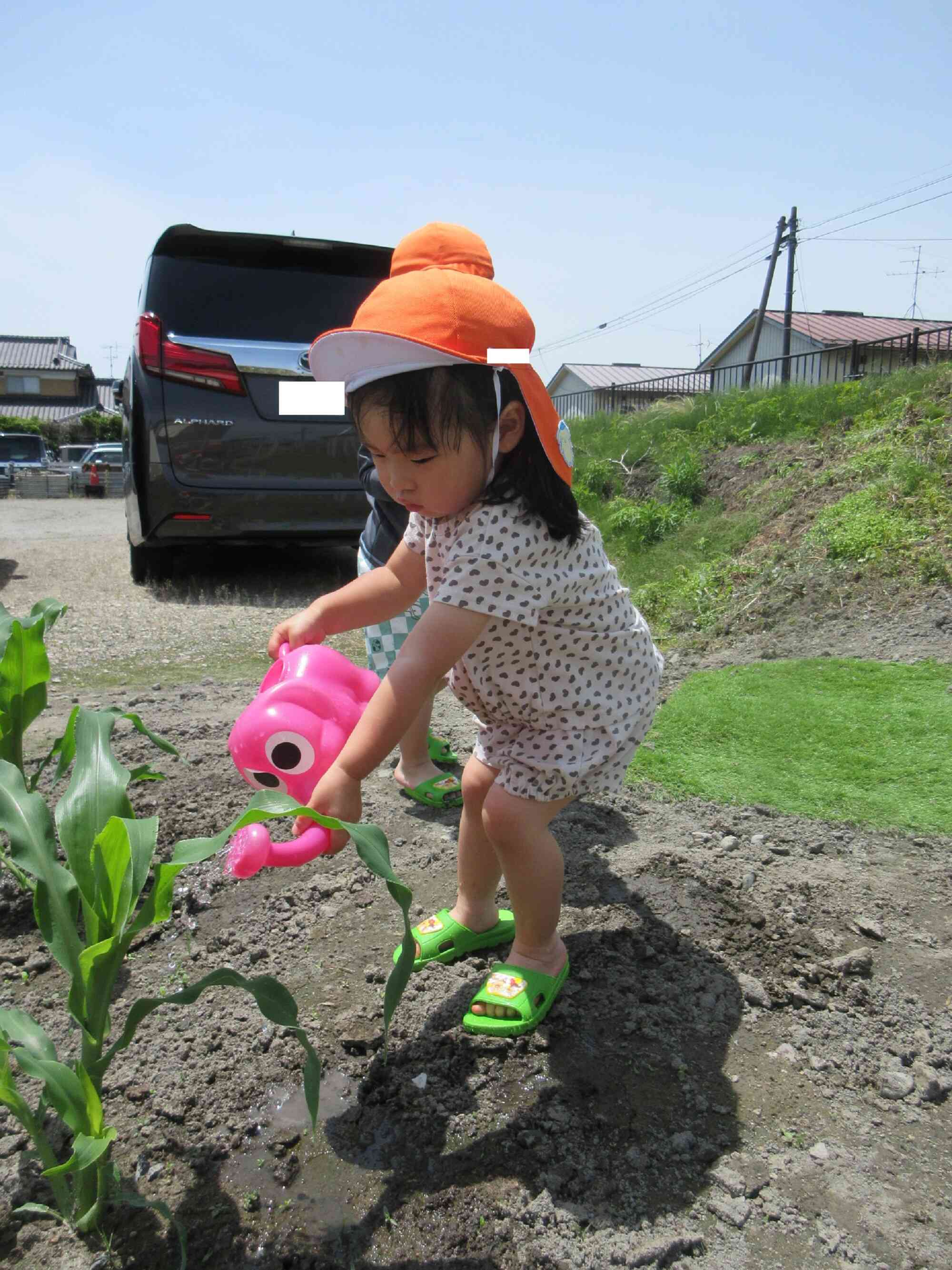 水やりのお手伝いをしたよ！