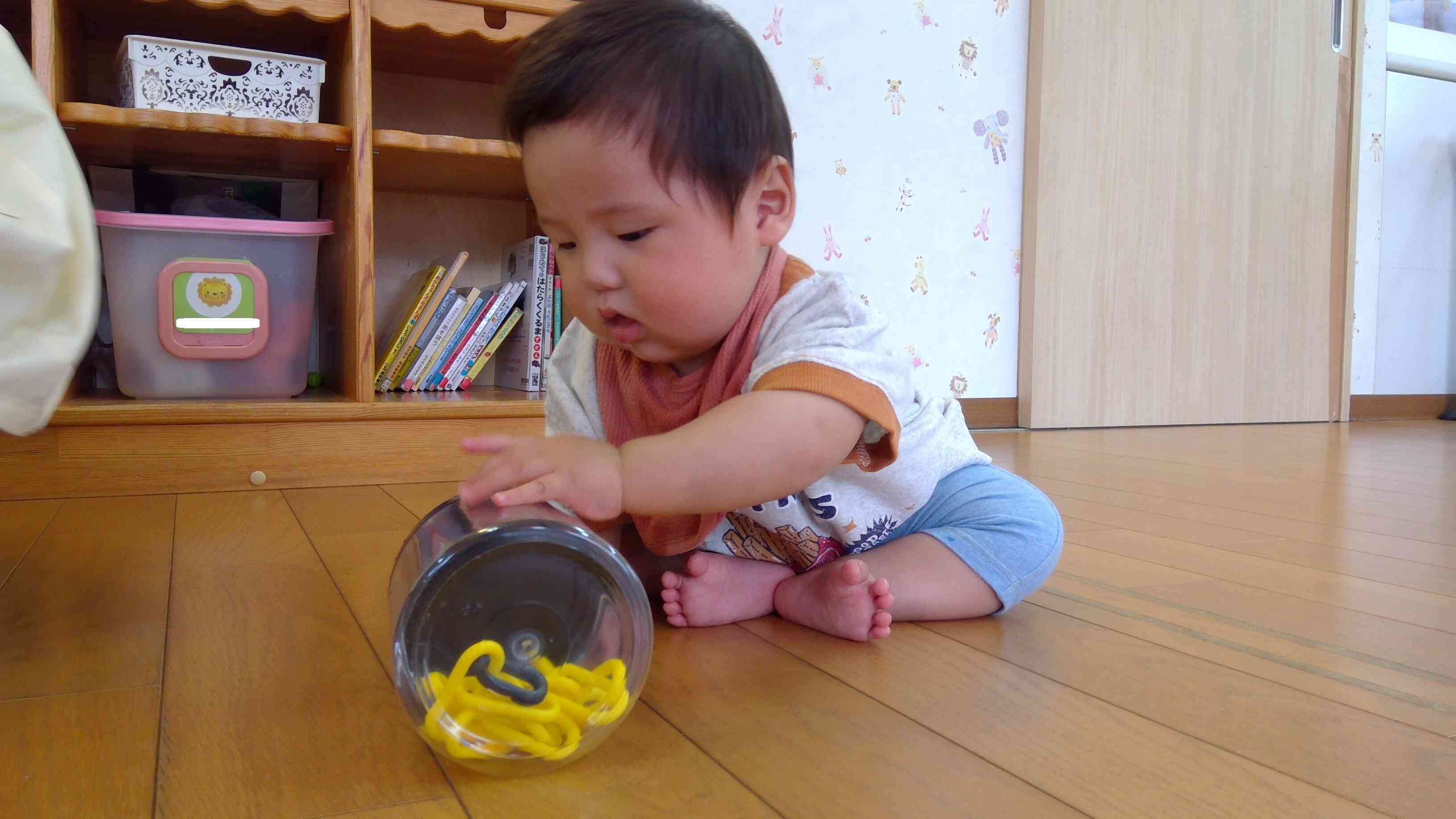 コロコロコロ～、上手に転がせるね～。