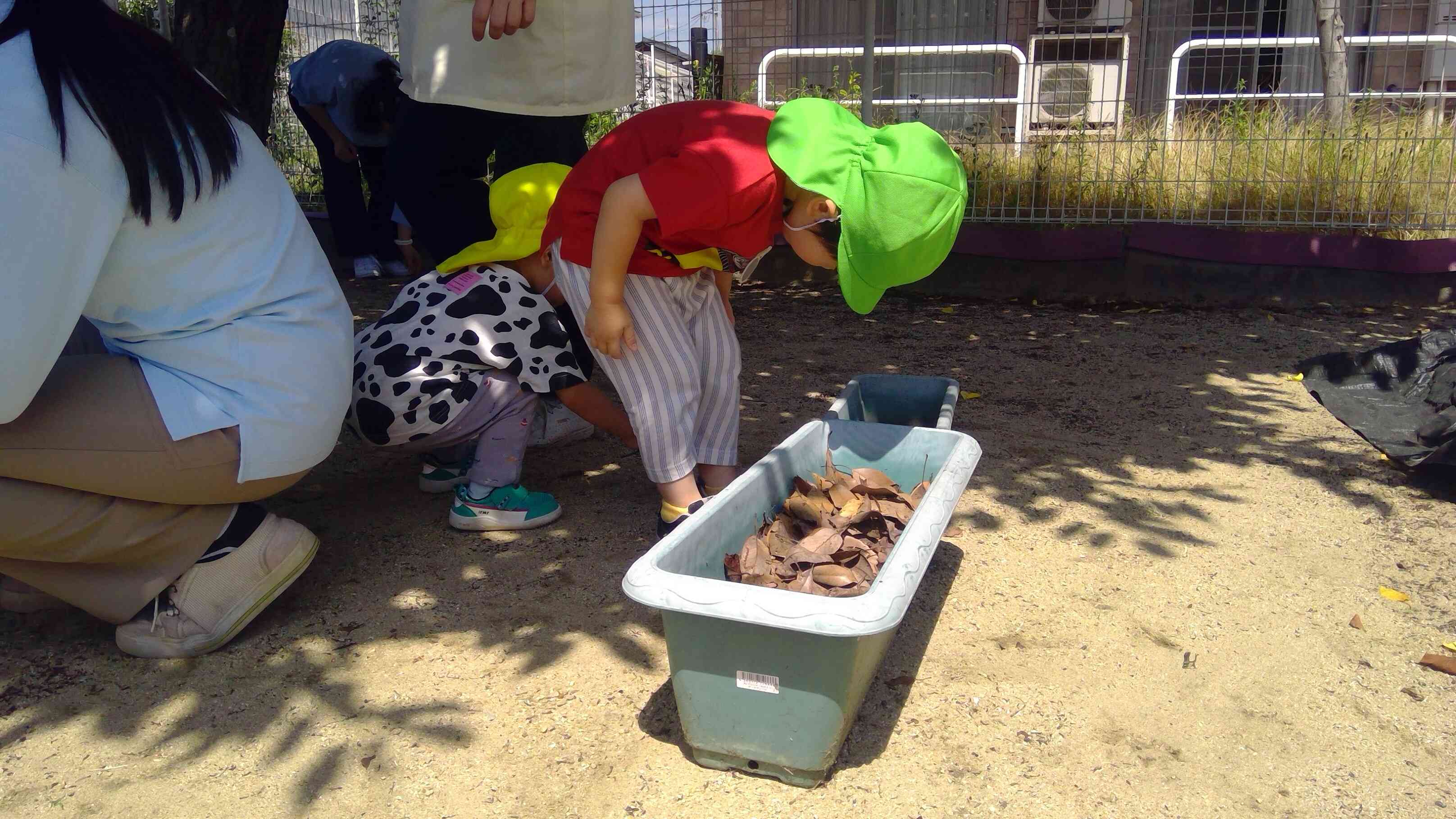 たくさんの落ち葉の中に大好きな虫さんを発見。