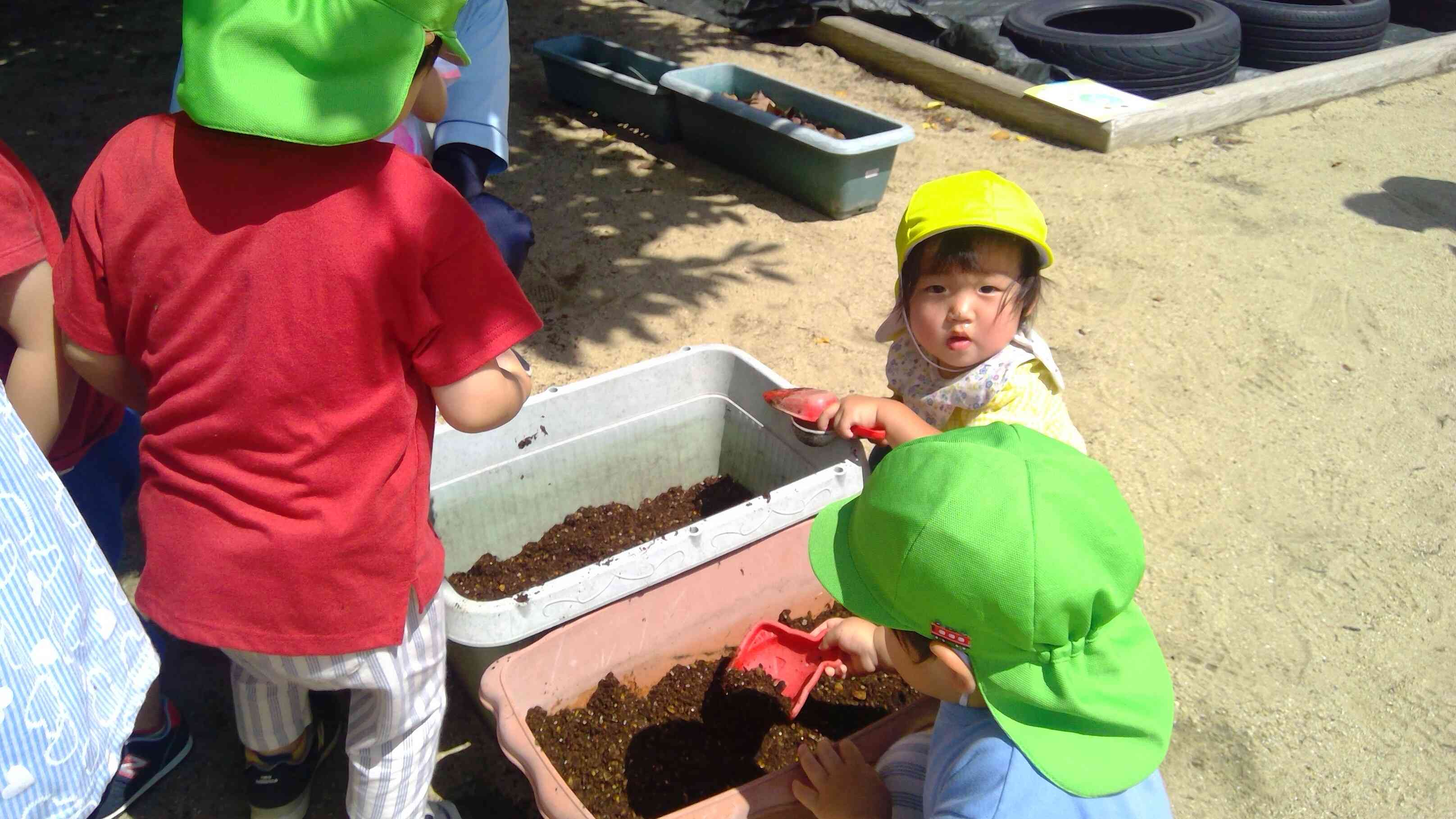 あひるぐみさん（1歳児）も興味津々で土をまぜまぜ。