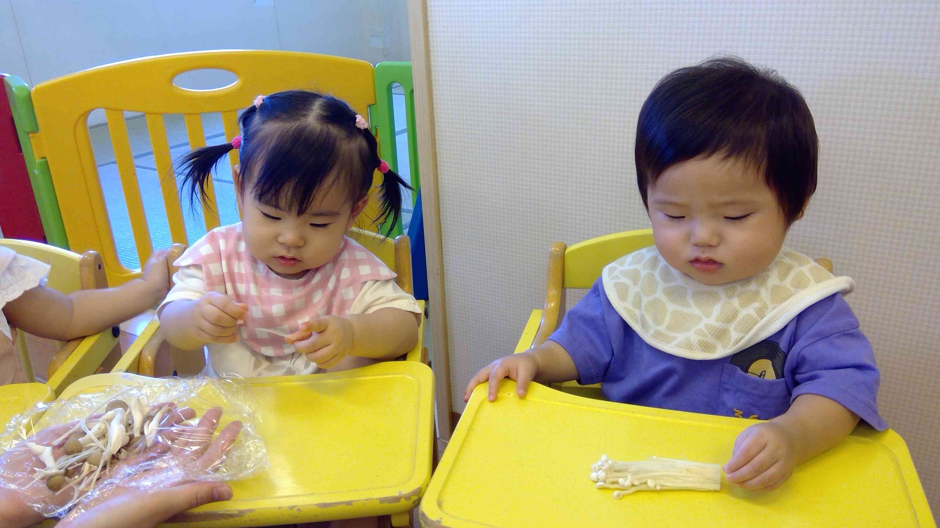 ひよこぐみさん（0歳児）も触ってみたよ。