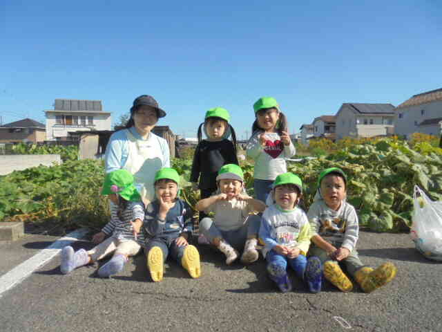 お芋畑に到着。おいもほりたのしみ～。