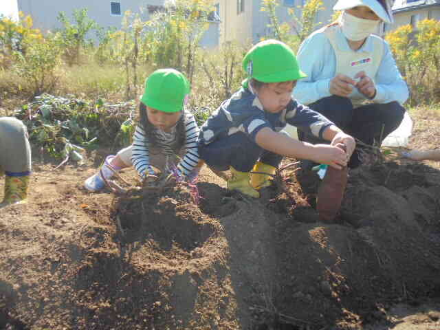 力いっぱい「よいしょー」